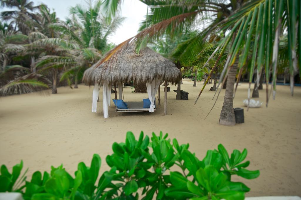 Dolphin Beach Resort Kalpitiya Exterior photo