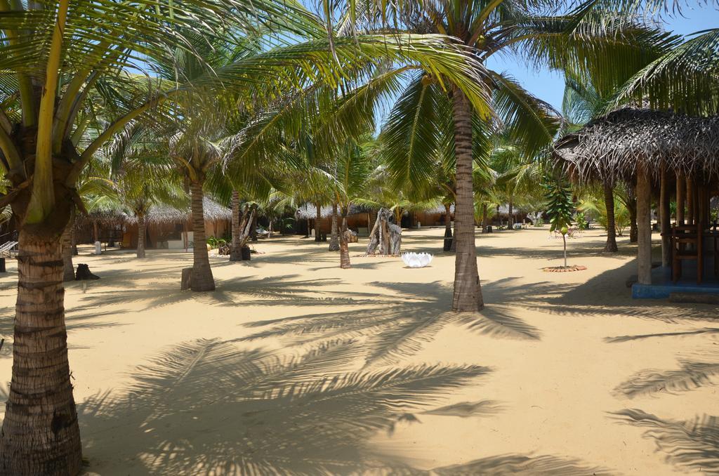 Dolphin Beach Resort Kalpitiya Exterior photo
