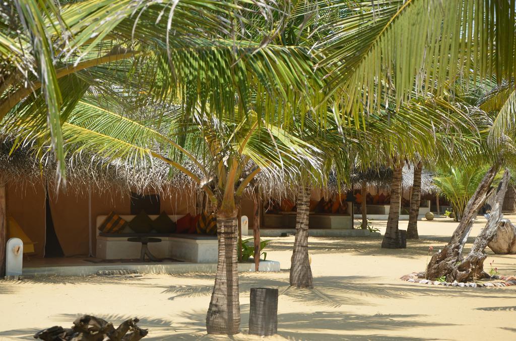 Dolphin Beach Resort Kalpitiya Exterior photo