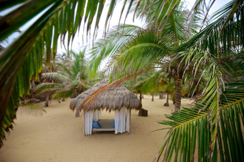 Dolphin Beach Resort Kalpitiya Exterior photo